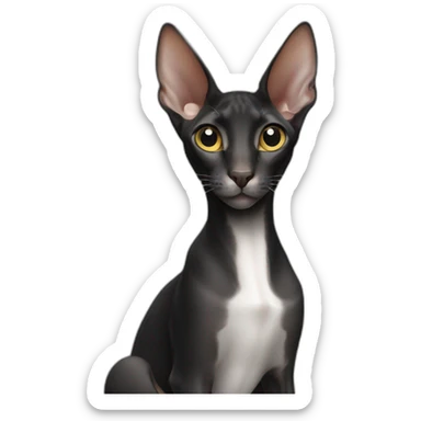 Black oriental shorthair sticker