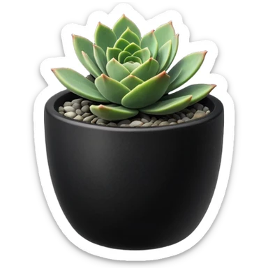 Desk Succulent Plant blavk cup sticker