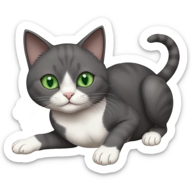 beautiful female solid dark grey cat with green eyes, white toes/paws and white patch on her chest rolling upside down sticker