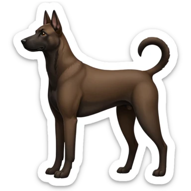 a black belgian malinois with brown feet sticker