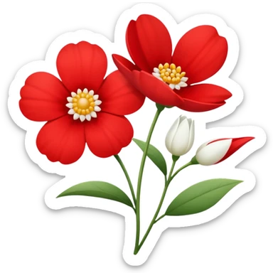 one red flower and one white flower with red band sticker
