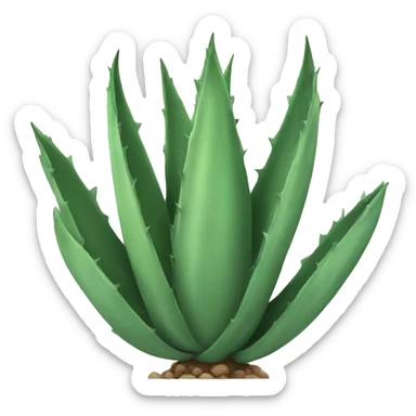 Agave sticker