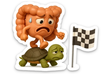  EMOJI STILE IPHONE 3D DI UN INTESTINO CON ESPRESSIONE ANGOSCIATA CHE CAMMINA SUL GUSCIO DI UNA TARTARUGA IN ATTESA ESTENUANTE DI RAGGIUNGERE UN TRAGUARDO POCO PIù AVANTI, SULLA LORO DESTRA. IL TRAGUARDO è UNA BANDIERA A DUE PIEDI CON FASCIA A SCACCHI BIANCHI E NERI. iperrealistico 4k sticker