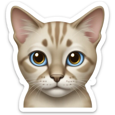 Thai breed cat with a light cream-brown body, dark gray nose and face, ears, and paws. sharp ears, and striking light blue eyes  sticker