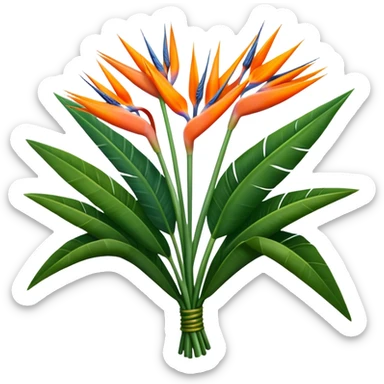 luxuriant, big bouquet Strelitzia Reginae, stem, leaf sticker