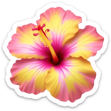 yellow and pink hibiscus flower sticker