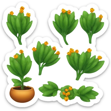 Create an emoji of a plant with a thin, slightly hairy green stem and oval, dark green, serrated leaves in opposite pairs. Add small greenish-yellow star-shaped flowers and round, reddish-orange berries at the leaf axils. sticker