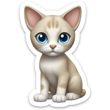 Thai breed cat with a light cream-brown body, dark gray nose and face, ears, and paws. sharp ears, and striking light blue eyes  sticker