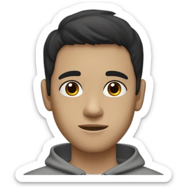 Boy with straight black hair, medium black eyes with a gray sweatshirt, with a thin face and semi-dark white skin sticker