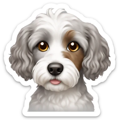 Cute grey and white Havapoo with brown hair around the nose sticker