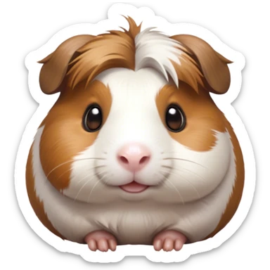 Cinematic Cute Brown and White Banded Guinea Pig Portrait Emoji, Head tilted playfully and inquisitively, showcasing a fluffy fur with playful brown and white banded patterns, round, sparkling dark eyes filled with curiosity, Simplified yet irresistibly adorable features, highly detailed, glowing with a warm, friendly glow, high shine, affectionate and spirited, stylized with a touch of whimsy, bright and endearing, soft glowing outline, capturing the essence of a mischievous yet loving guinea pig, so playful it feels like it could dash out of the screen and into your arms! sticker
