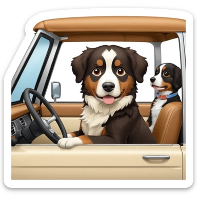 Cream colored ford bronco with no roof and an adult Bernese mountain dog in the seat sticker