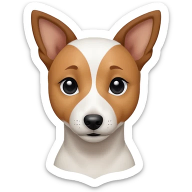 a fully white jack russell the size of a kelpie with a half white face sticker