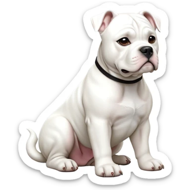 cinematic-[solid white american bulldog]-realistic-full-body-sitting-emoji,-tail-resting-loosely-beside-its-paws,-head-tilted-dramatically,-sleek-[solid white]-fur,-simplified-yet-realistic-focused-features,-highly-detailed,-glowing-with-an-almost-sarcastic-glow sticker