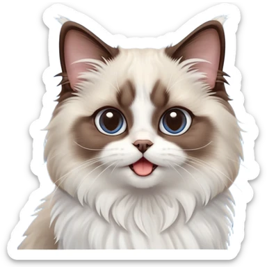 cinematic-adorable-big-eyed-fluffy-dark brown and white ragdoll-cat-portrait-emoji,-head-tilted-playfully-with-a-cute,-yawn,-soft-brown-and white-colored-fur-with-darker-points-on-the-ears,-simplified-yet-irresistibly-cute-features, sparkling blue eyes sticker
