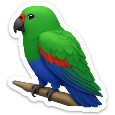 Eclectus parot sticker