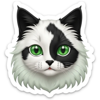 black and white long hair cat. green eyes. black nose. black splotch in the shape of a star near nose (on the right side). white chest. sticker