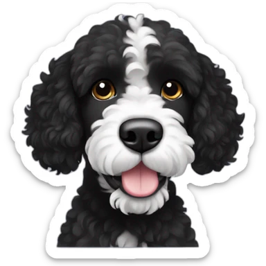 black face Portuguese water dog with white chin sticker