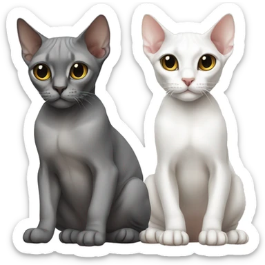 two sphinx cats one grey one white sticker