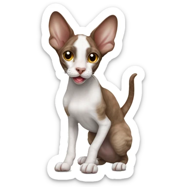 Brown snd white cornish rex waving  sticker