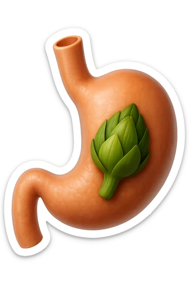 emoji stile iphone 3d di uno stomaco umano con una foglia di carciofo dentro, iperrealistico 4k sticker
