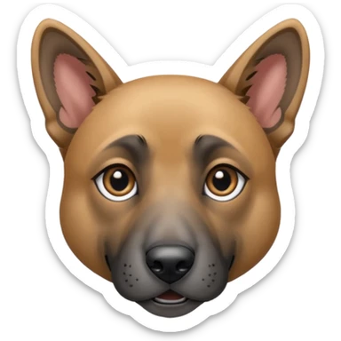 chien croisé malinois , yeux gris et poils mi long et gris sticker