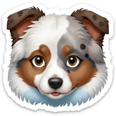 A mini Australian shepherd with white hair and black spots over her eyes. She is just black and white, no brown. One eye is light blue, and the other is brown sticker