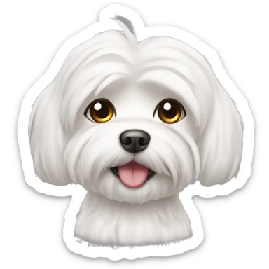 Cute maltese sticker