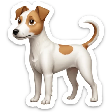 a full body large white parson russell terrier looking dog the size of a kelpie with light brown long ears and a light brown patch on one eye and a large snout sticker