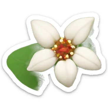 Ashwagandha plant flower sticker