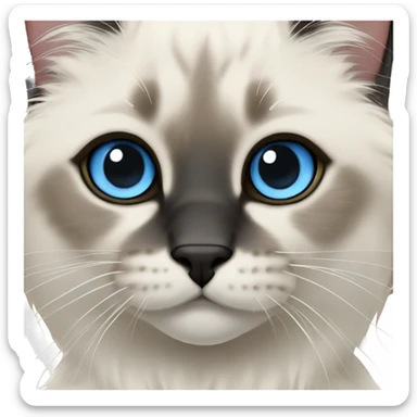  ragdoll cat with light blue eyes, center of face is black nose is black and also mouth is black, cute adorable sticker