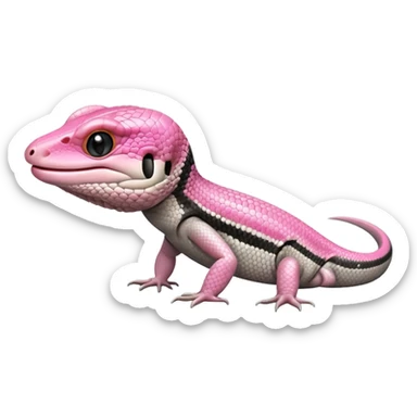 Pink tongue skink sticker