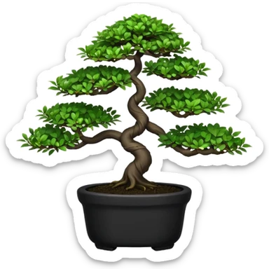 Bonsai Tree – Miniature tree in small pot, trimmed carefully, black pot sticker