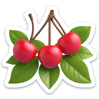 3d emoji of a cherry with two cherries and a leaf, shiny red cherries with bronze stems and light green leaves, realistic texture and lighting sticker