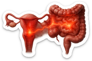 utero umano anatomico iperrealistico e intestino umano anatomico iperrealistico hanno in comune il dolore e l'infiammazione, rendi bene il collegamento tra i due organi doloranti, falla iperrealistica, non disegnata sticker