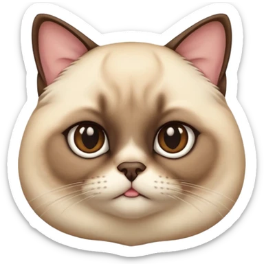 chubby siamese cat sticker