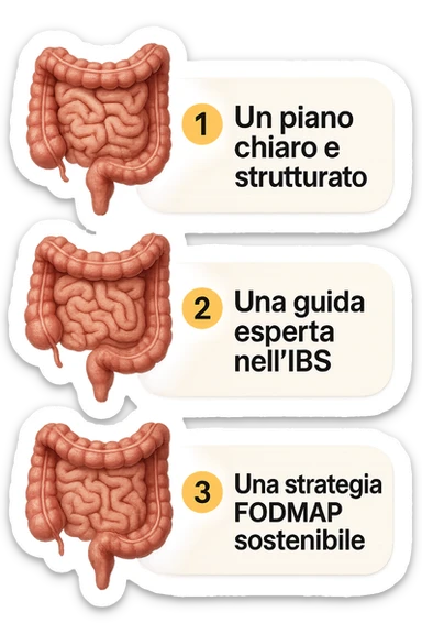 emoji stile iphone di 3 targhette numerate con intestino realistico davanti ad ogni targhetta, le targhette sono:
"1 – Un piano chiaro e strutturato
2 – Una guida esperta nell’IBS
3 – Una strategia FODMAP sostenibile"
, iperrealistico 4k sticker