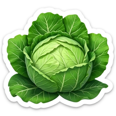 Shredded cabbage    sticker