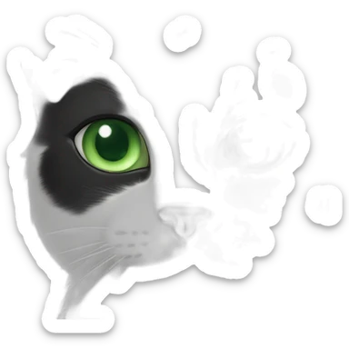 black-and-white cat with green eyes sticker
