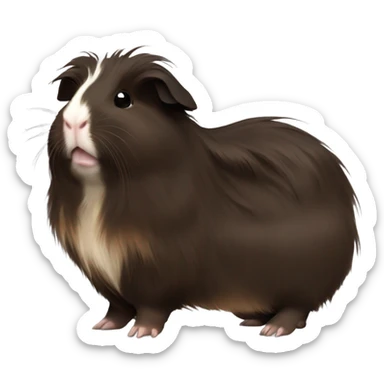 Long haired fully dark brown guinea pig baby sticker