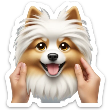 Spitz dog white red, in the hands of a girl with long blond hair sticker