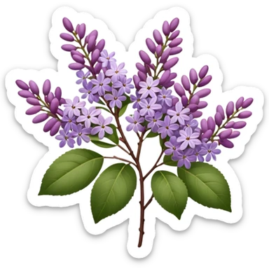 Mauve Lilacs sticker