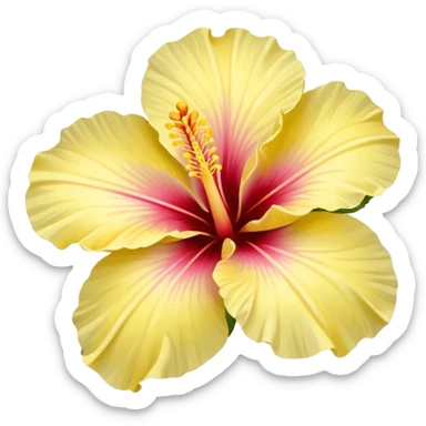 A pale yellow hibiscus flower sticker
