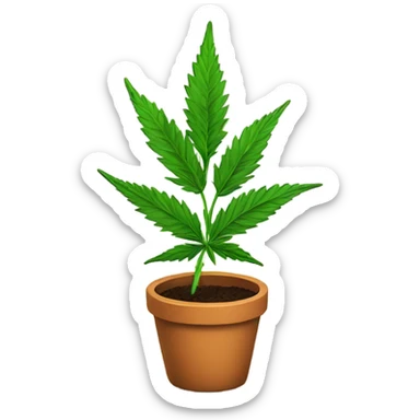 Cannabis plant in a pot sticker