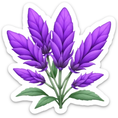 Salvia sticker