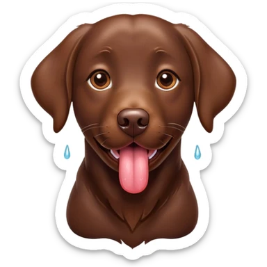 Chocolate labrador sticking her tongue out  sticker