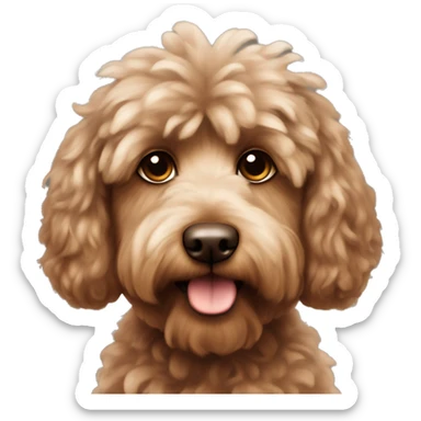 Brown fluffy cockapoo  sticker