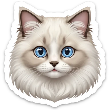 cinematic-adorable-big-eyed-fluffy-ragdoll-cat-portrait-emoji,-head-tilted-playfully-with-a-sweet-expression,-fluffy-white and grey-fur,-simplified-yet-irresistibly-cute-features-with-large,-expression, blue eyed ragdoll cat sticker