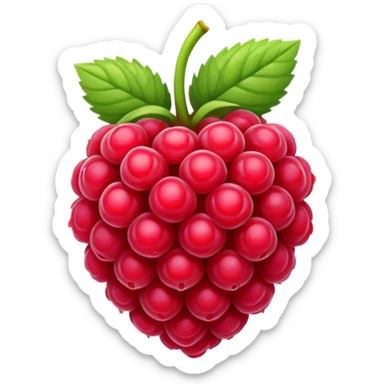 raspberry sticker