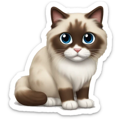 Chocolate point ragdoll cat sticker